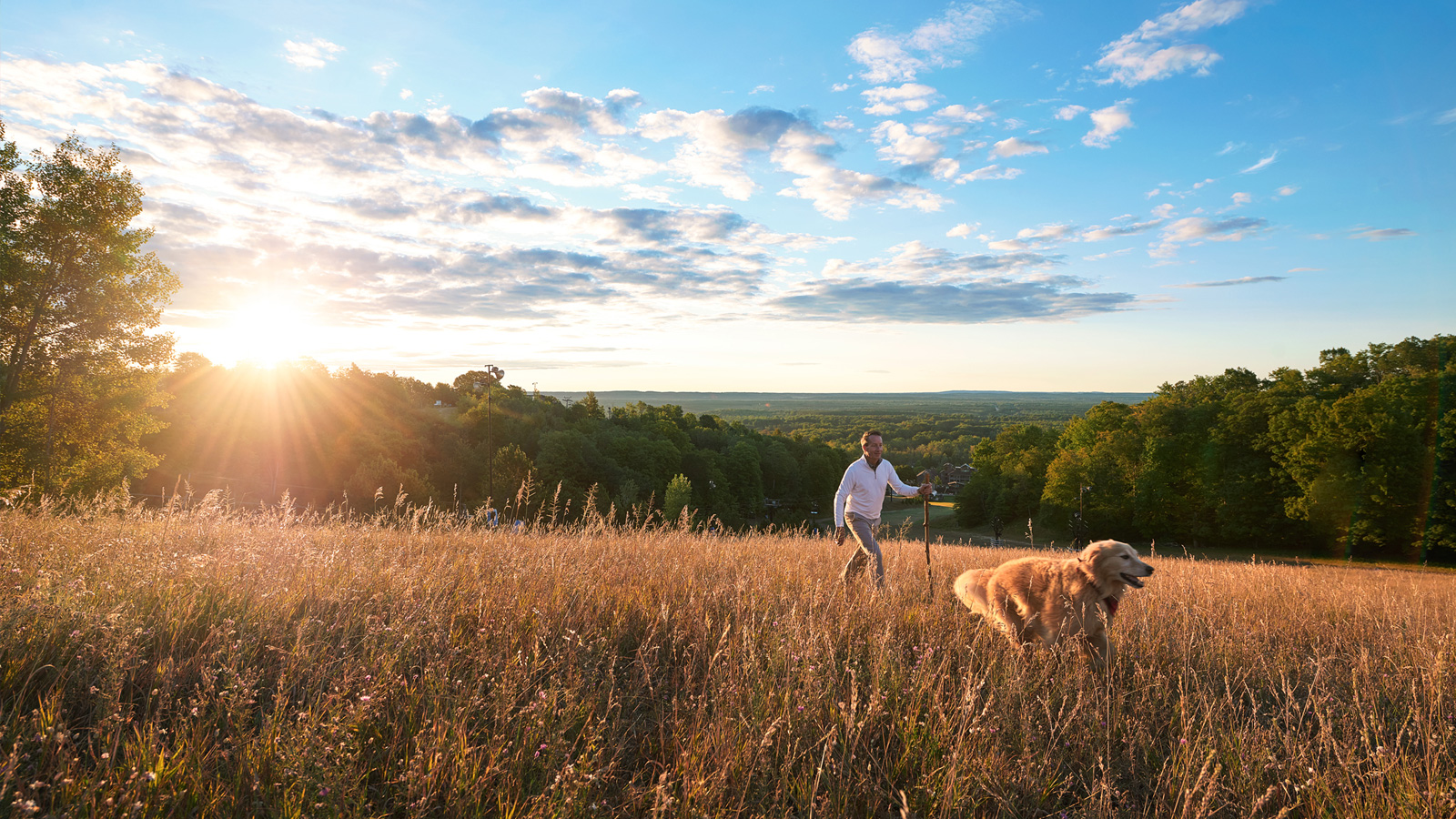 Hiking with your furry friend on the mountain.
