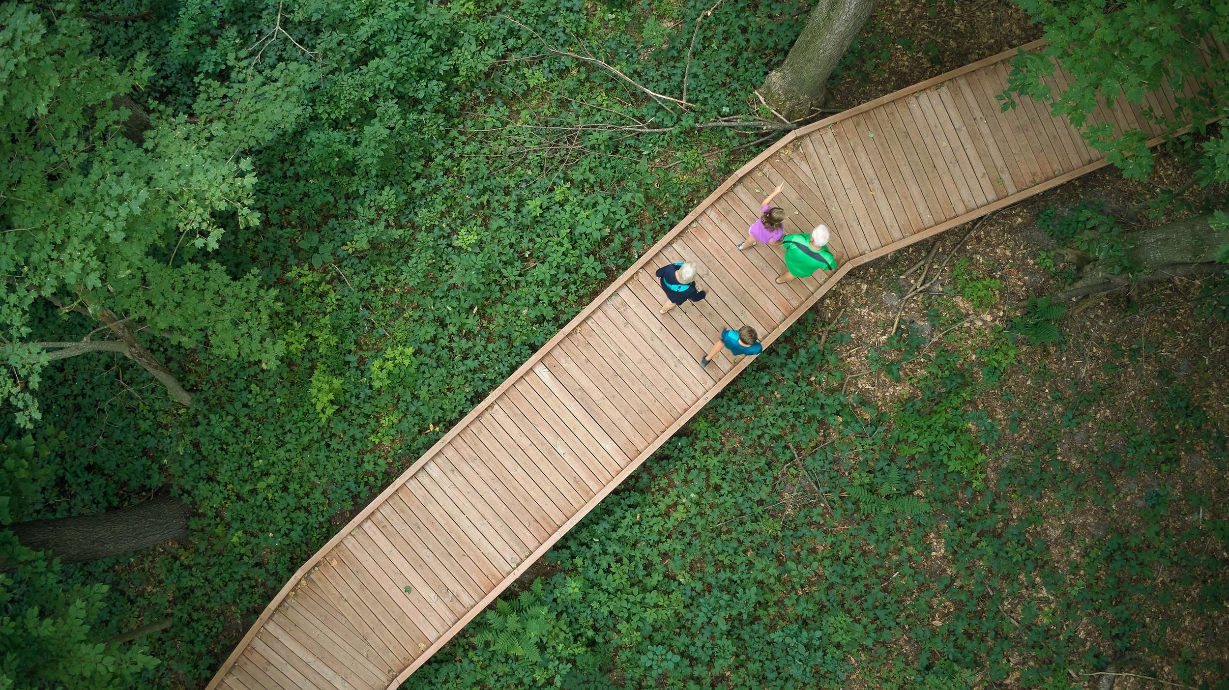 Local Hiking Trails | Crystal Mountain Michigan