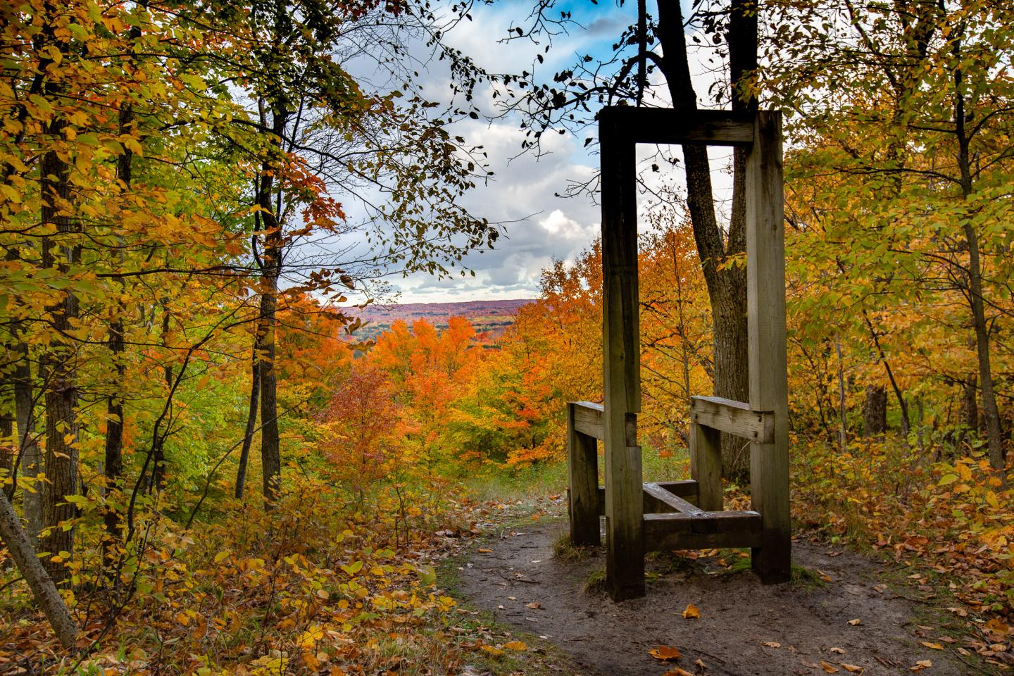 Wooden frame in a forest with vibrant autumn leaves.