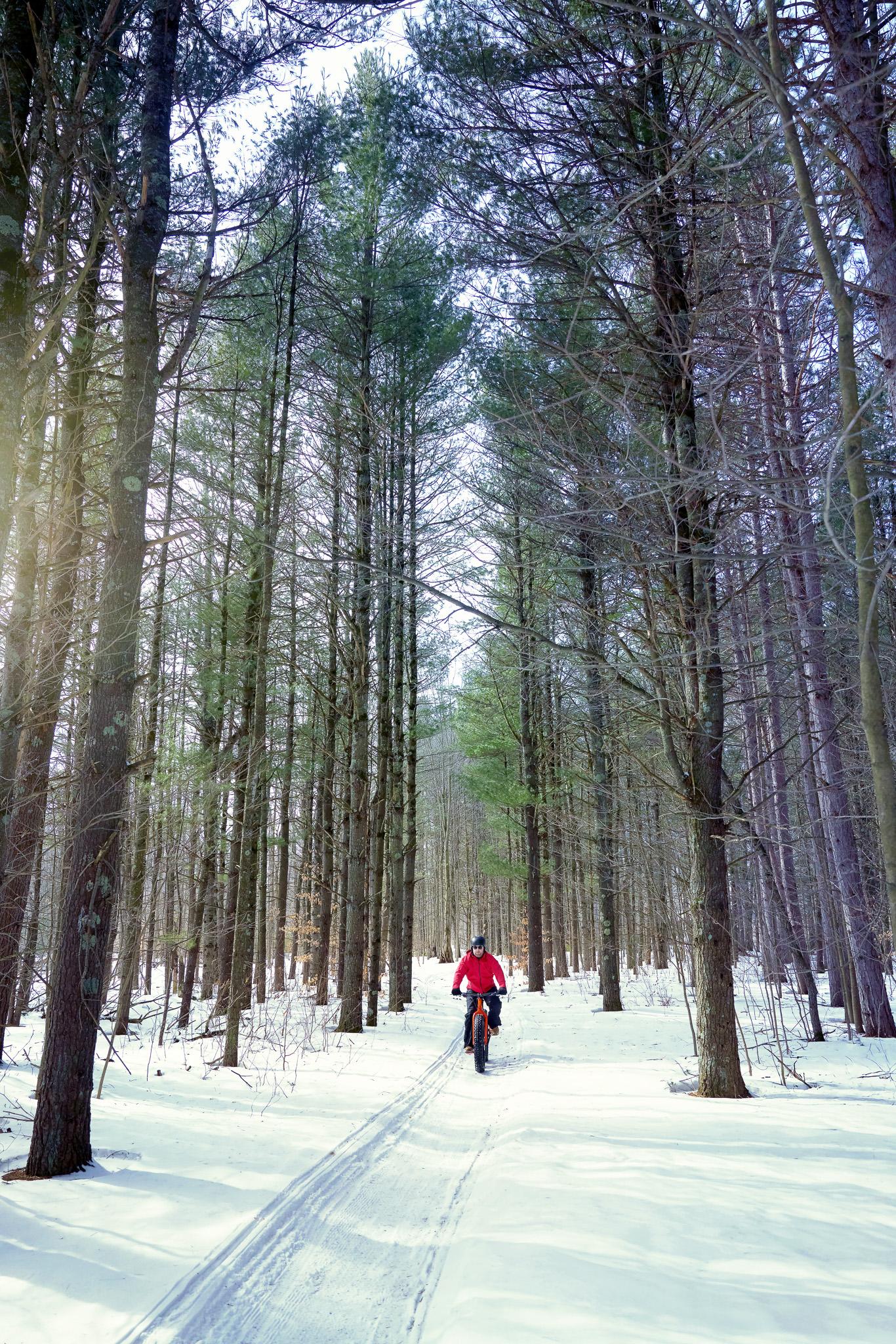 Cyclist in a red jacket biking through a snowy forest trail.