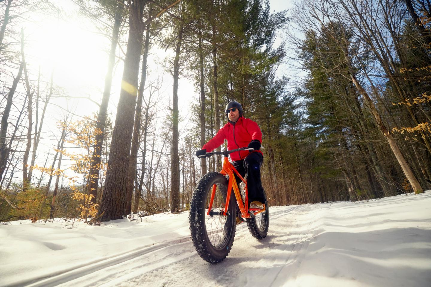 Cyclist on a fat bike rides through a snowy forest in sunlight.