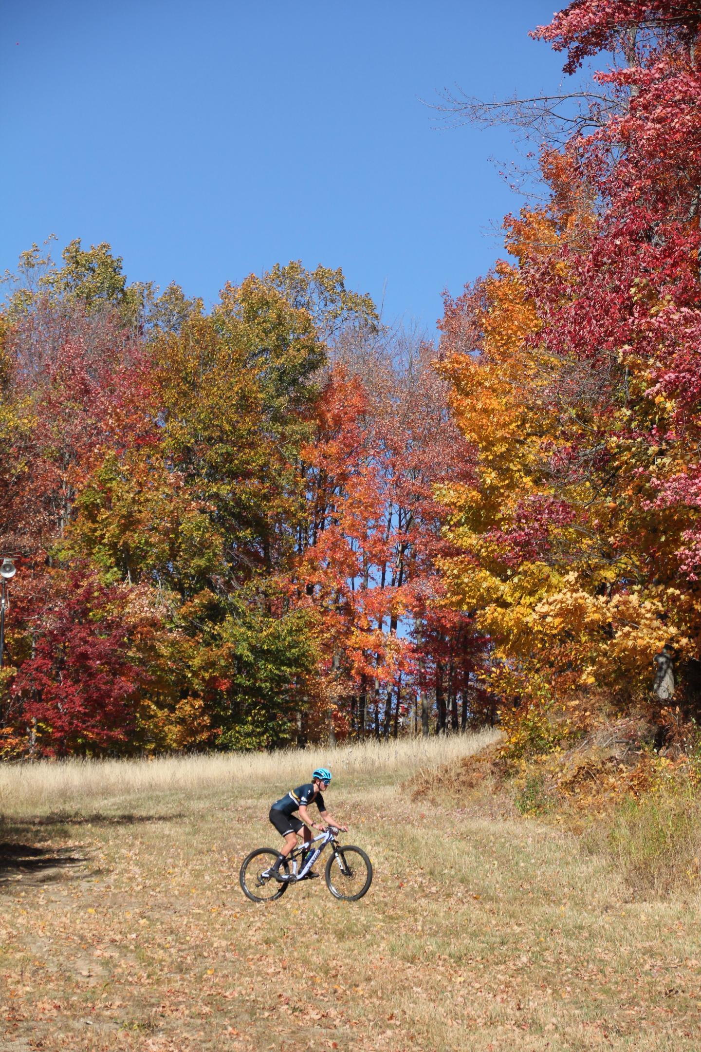 Cyclist rides on a path surrounded by vibrant autumn trees under a clear blue sky.