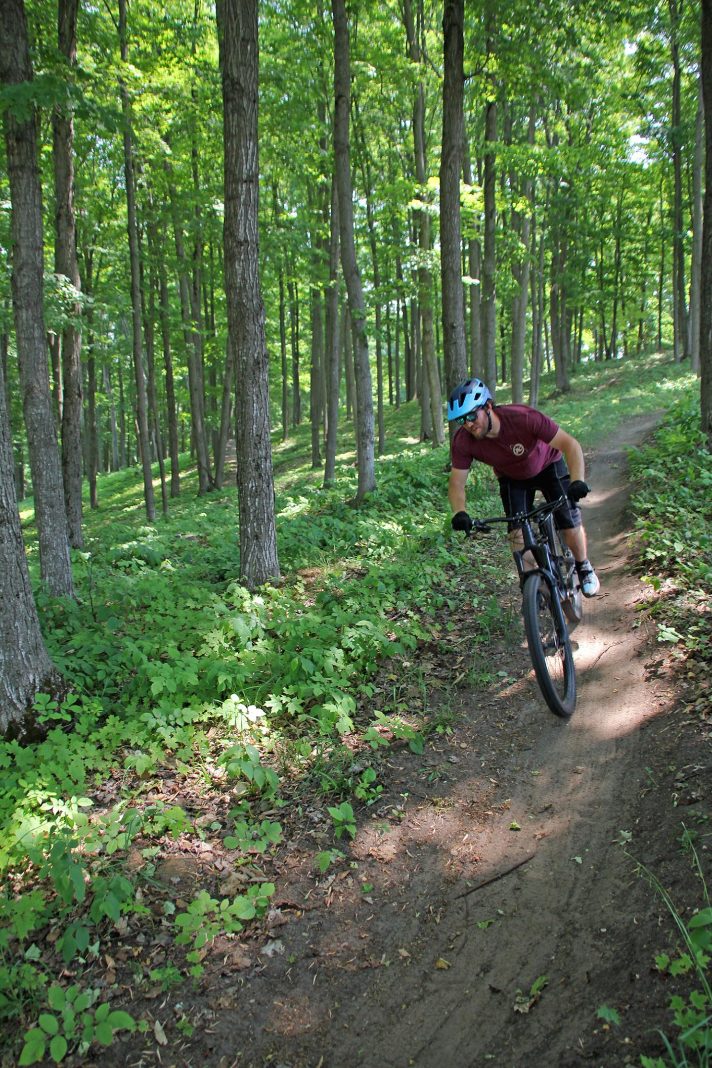 Cyclist riding on a woodland trail, surrounded by tall green trees.