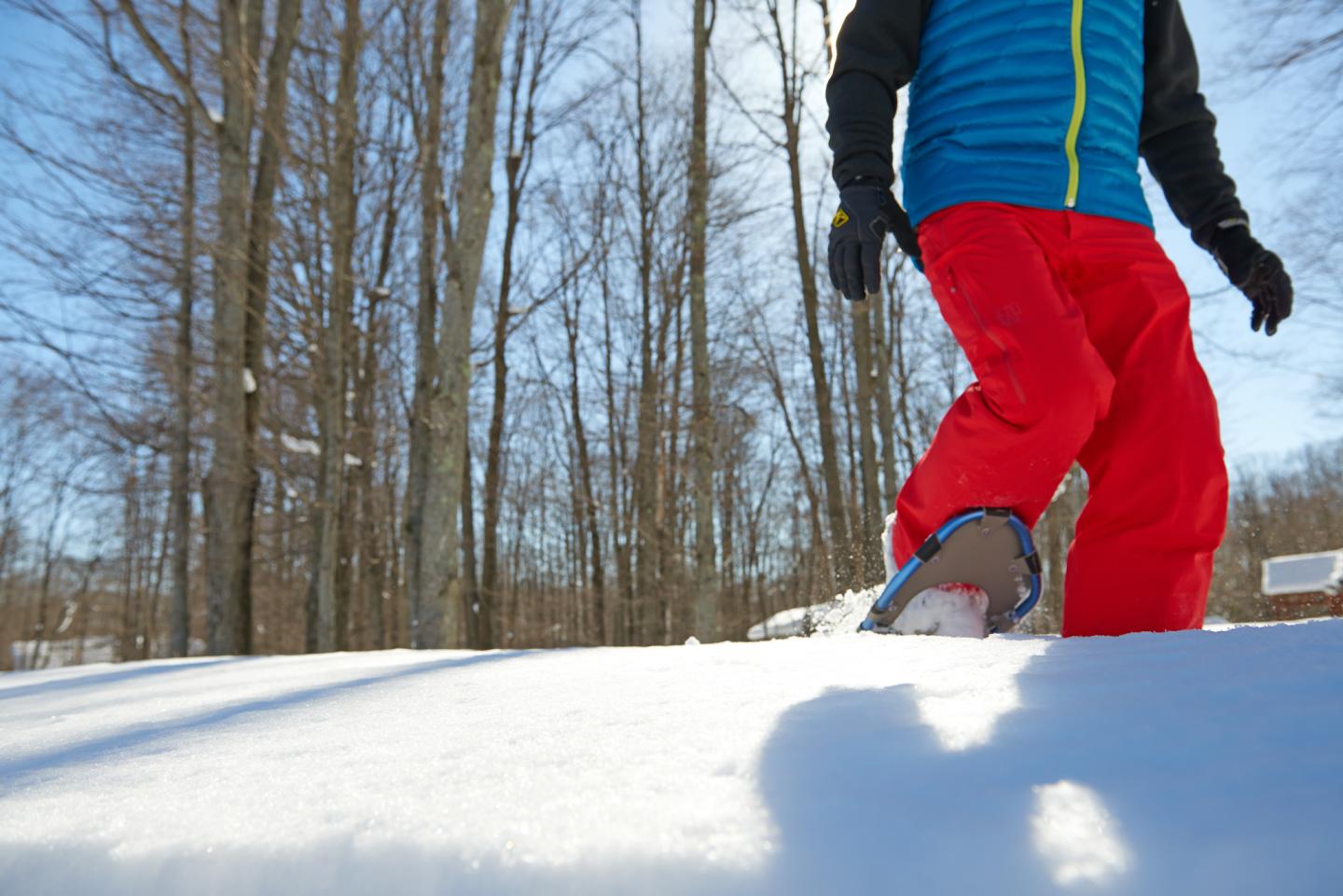 Child in bright red pants walking in snowy forest.