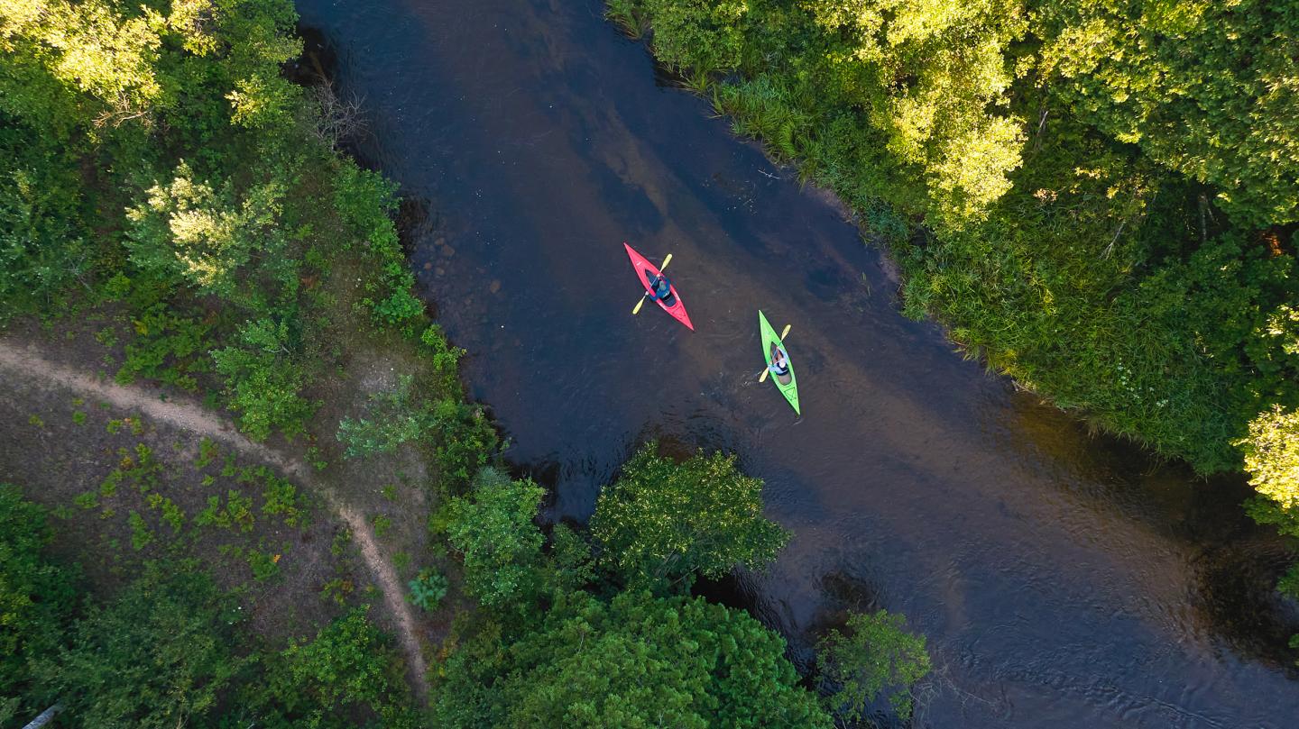 Kayakers paddling on a winding river, surrounded by lush green trees.