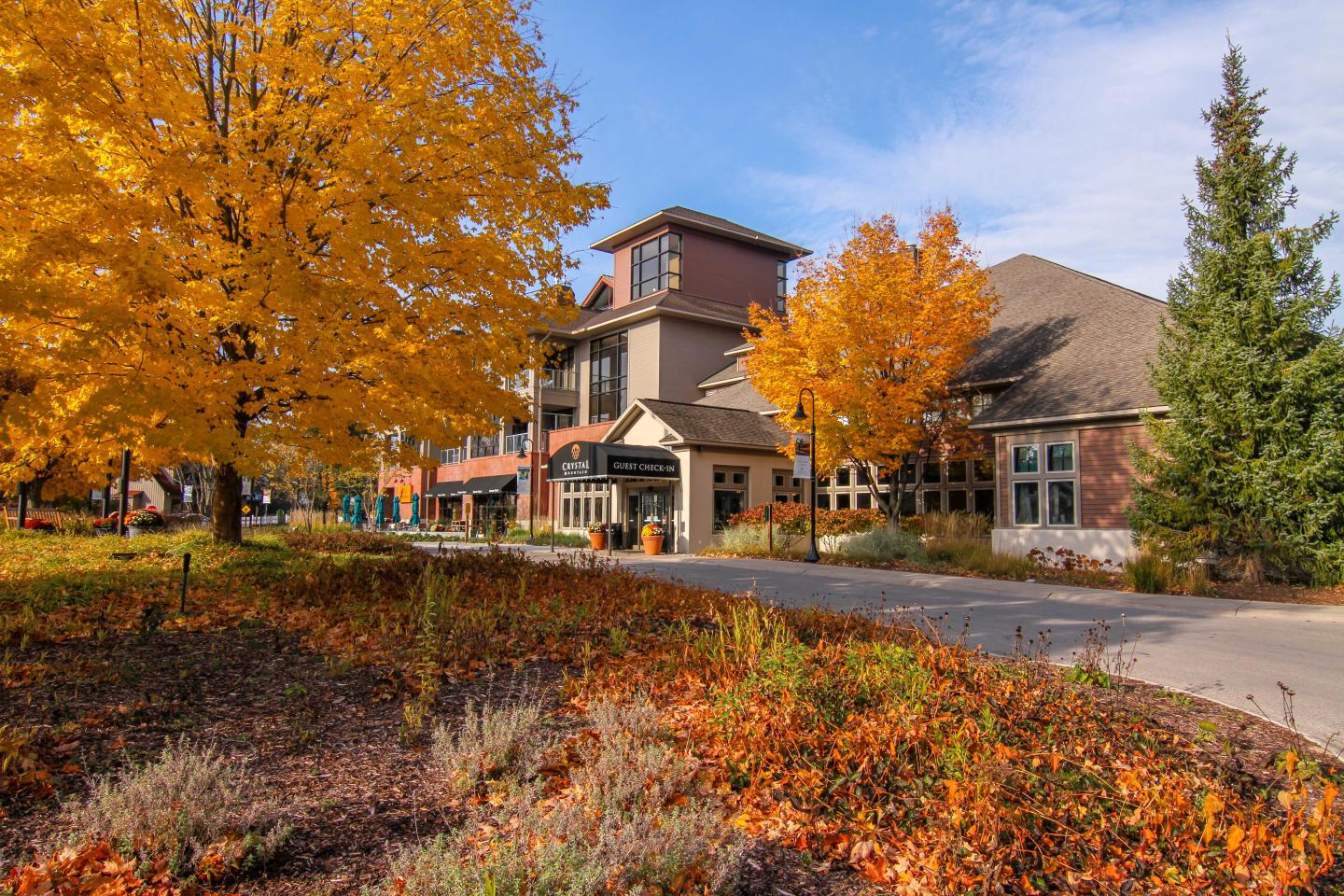 Autumn trees with orange leaves beside a building under a clear blue sky.