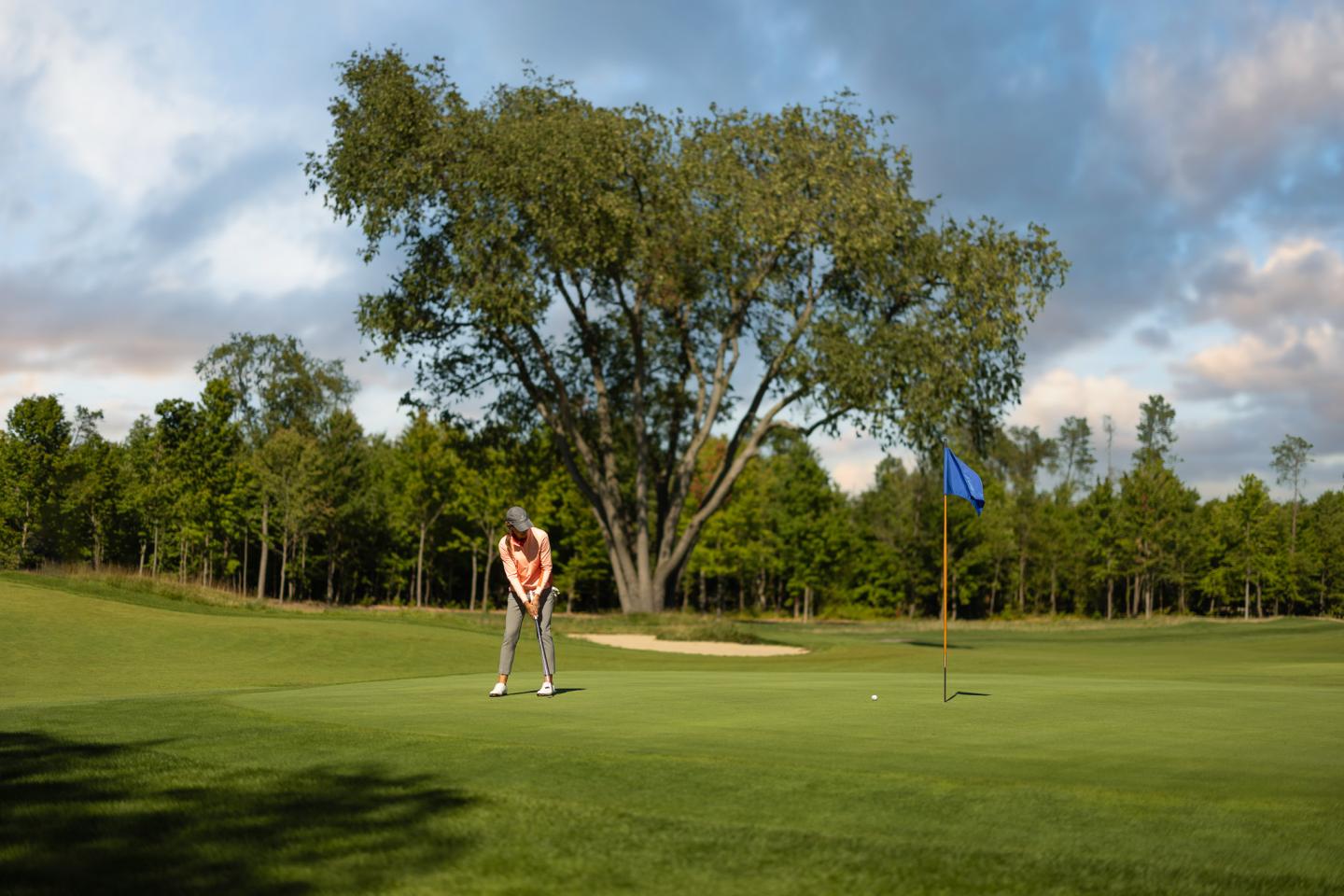 Golfer putting on green, large tree and blue sky in background.