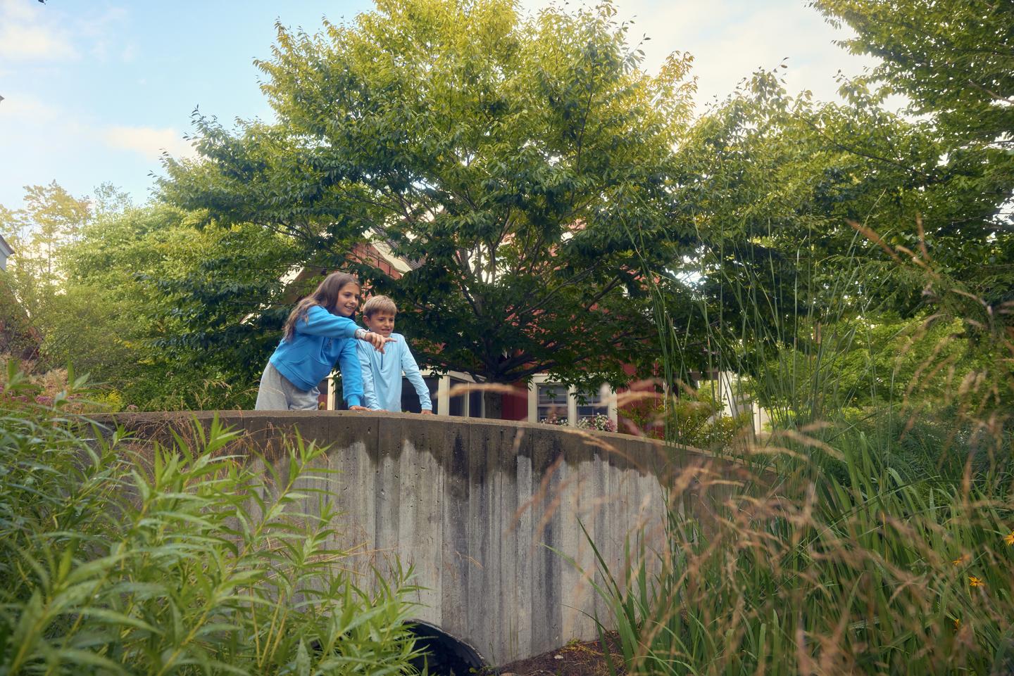 Two people on a wooden bridge surrounded by lush greenery.