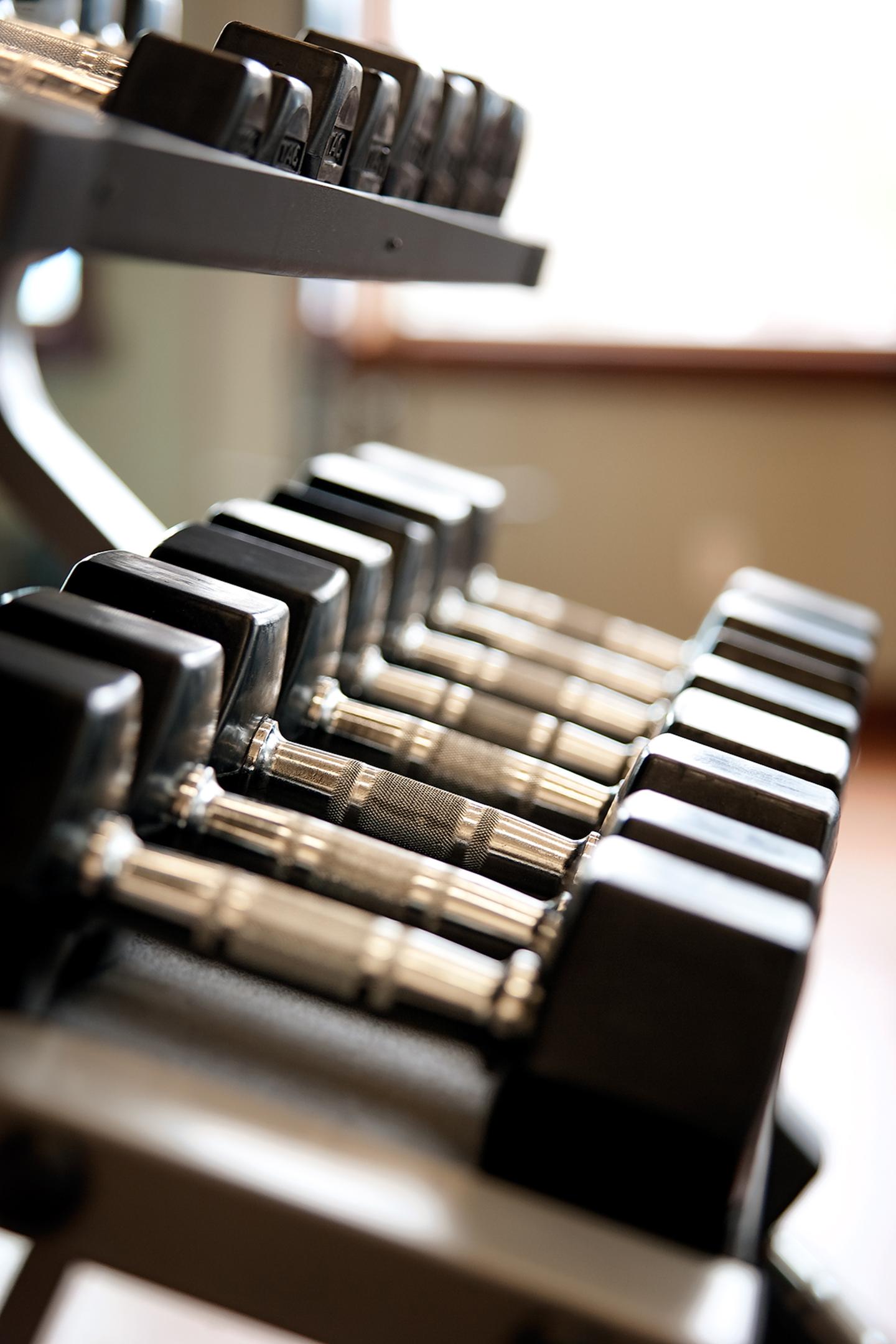 Dumbbells arranged on a rack in a brightly lit room.