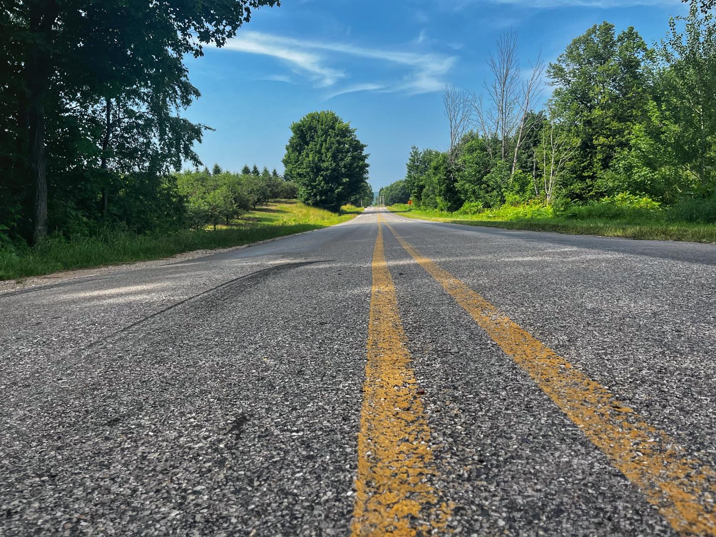 Road with yellow lines, trees, and blue sky.