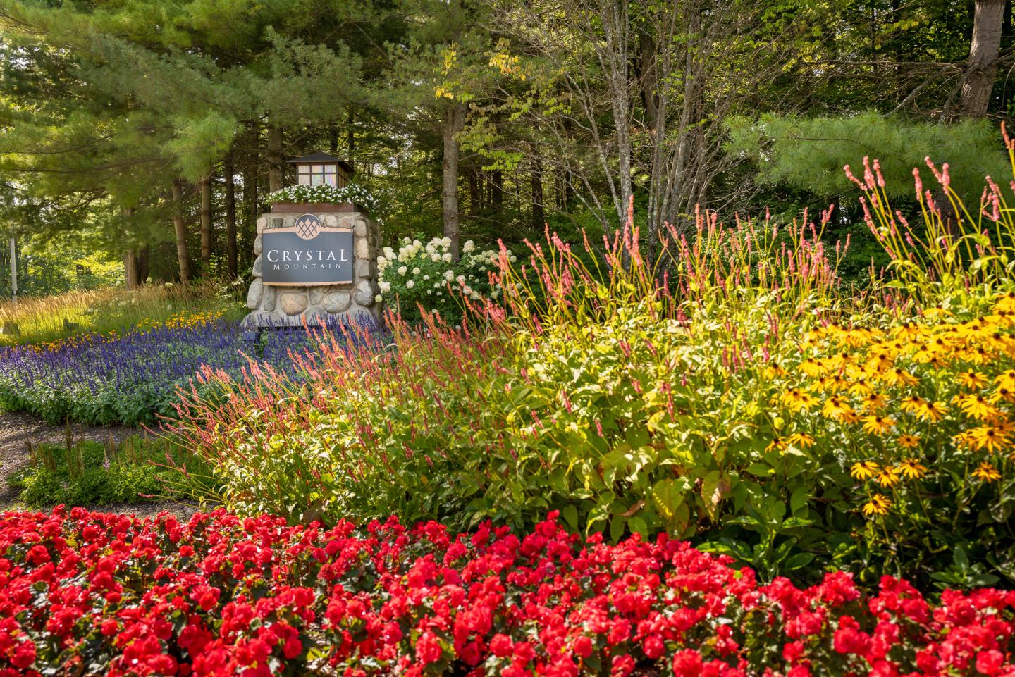 Lush garden with red, yellow, and purple flowers under trees. Stone sign in the background.