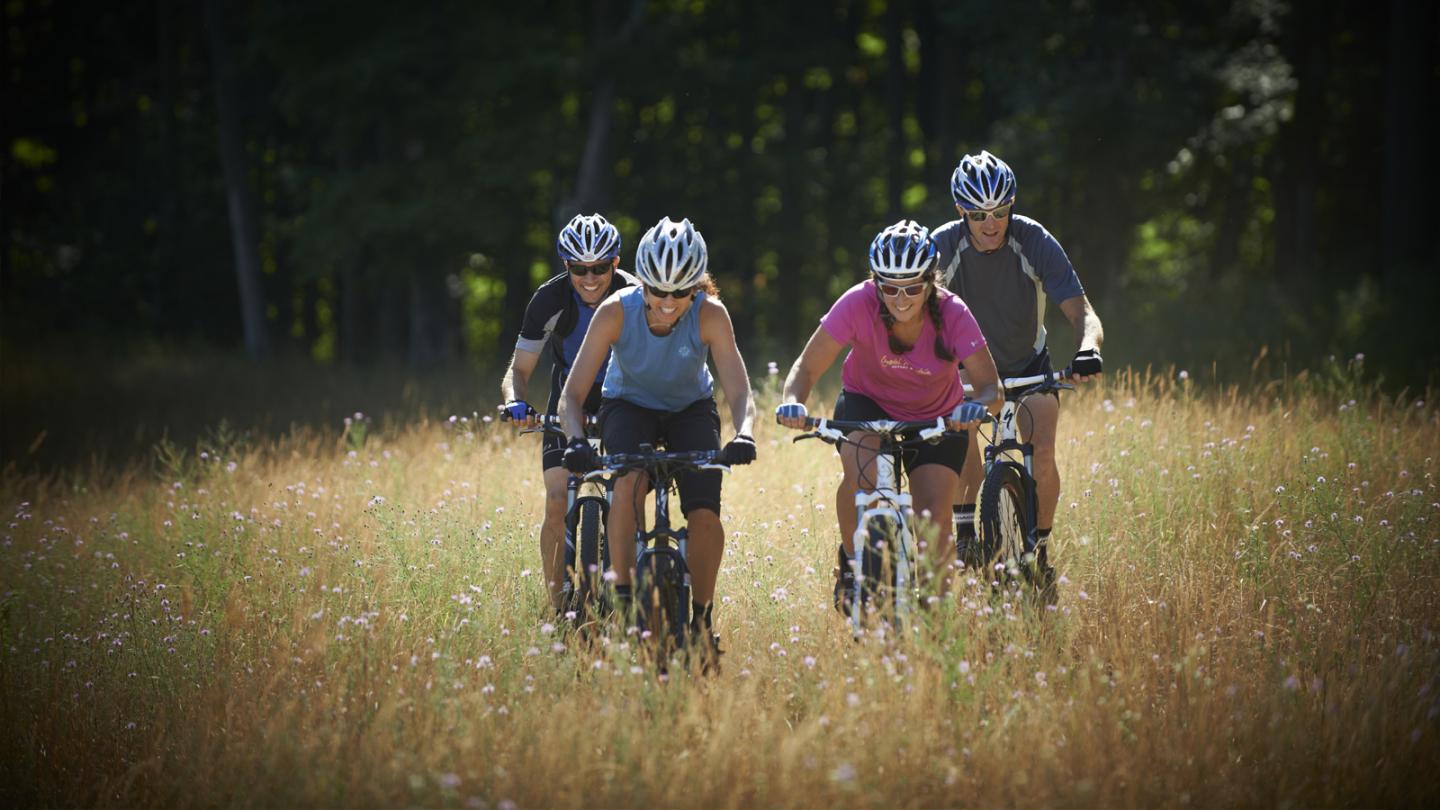 Cyclists riding through a sunlit grassy field.