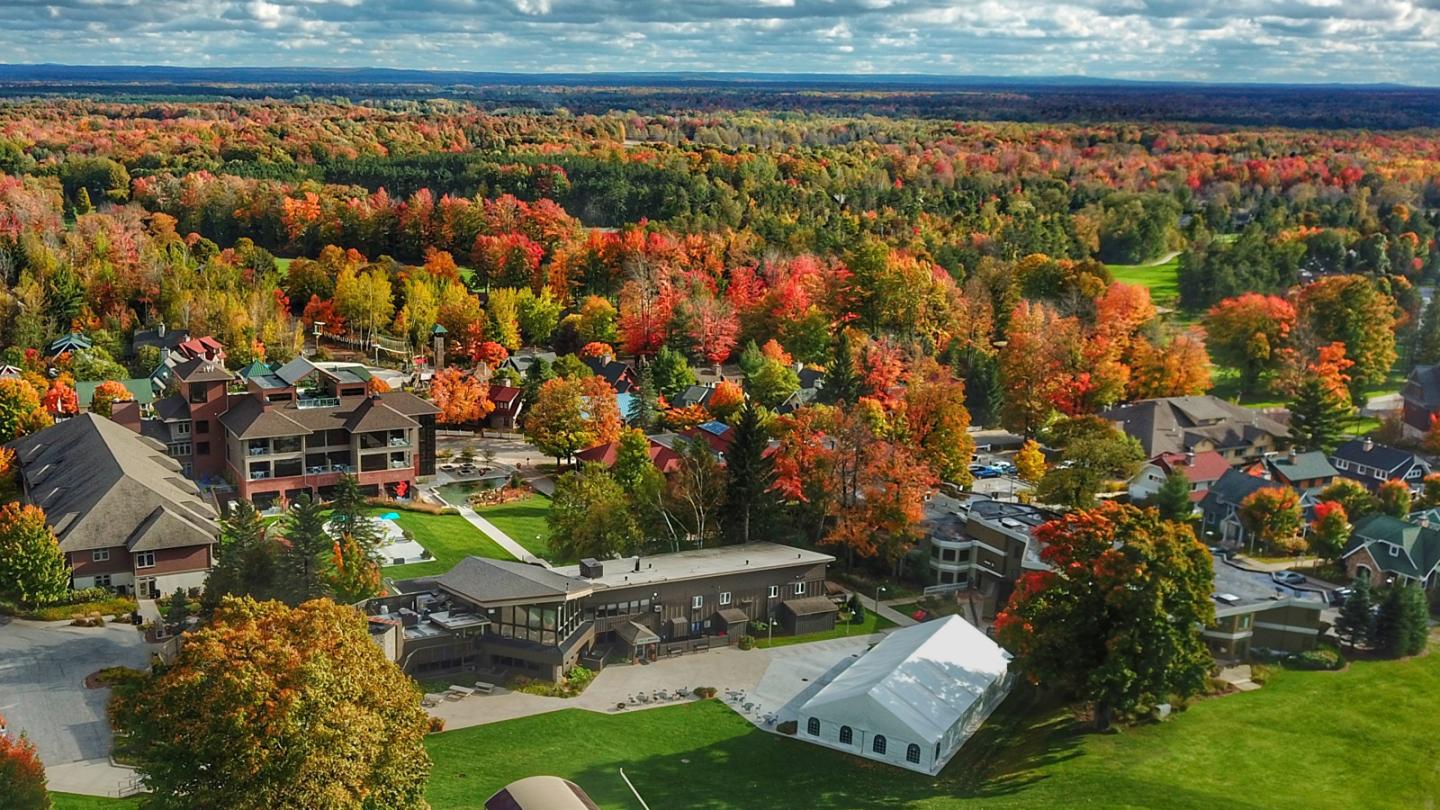 Aerial view of a village with vibrant autumn trees and scattered buildings.