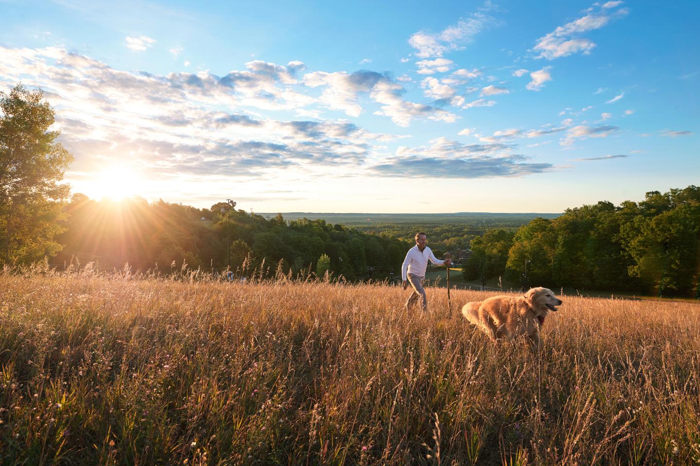Person walking a dog in a sunlit grassy field.