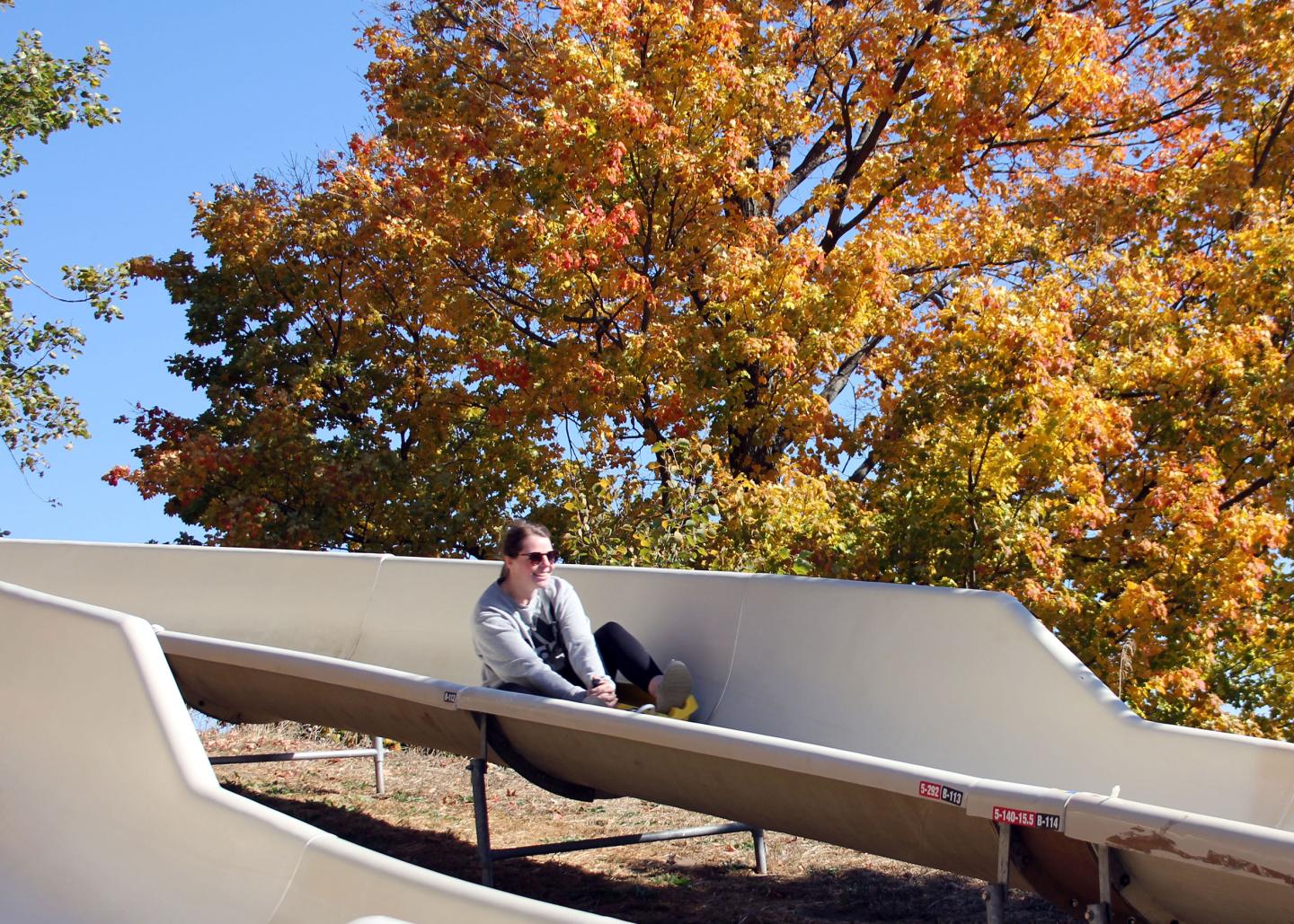 Person sliding down the alpine slide surrounded by autumn trees.