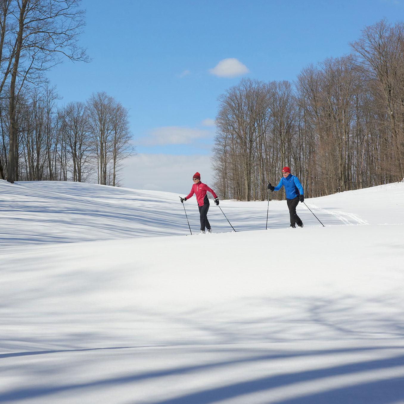 Two people cross-country skiing on a snowy trail under a clear blue sky.