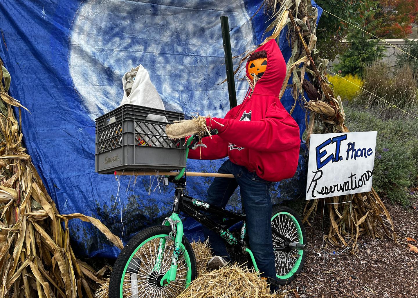 Halloween scarecrow on bike with red hoodie and pumpkin head.