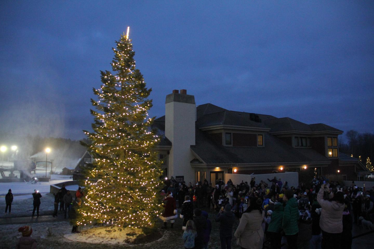 Christmas tree lit up at night with a crowd gathered nearby.