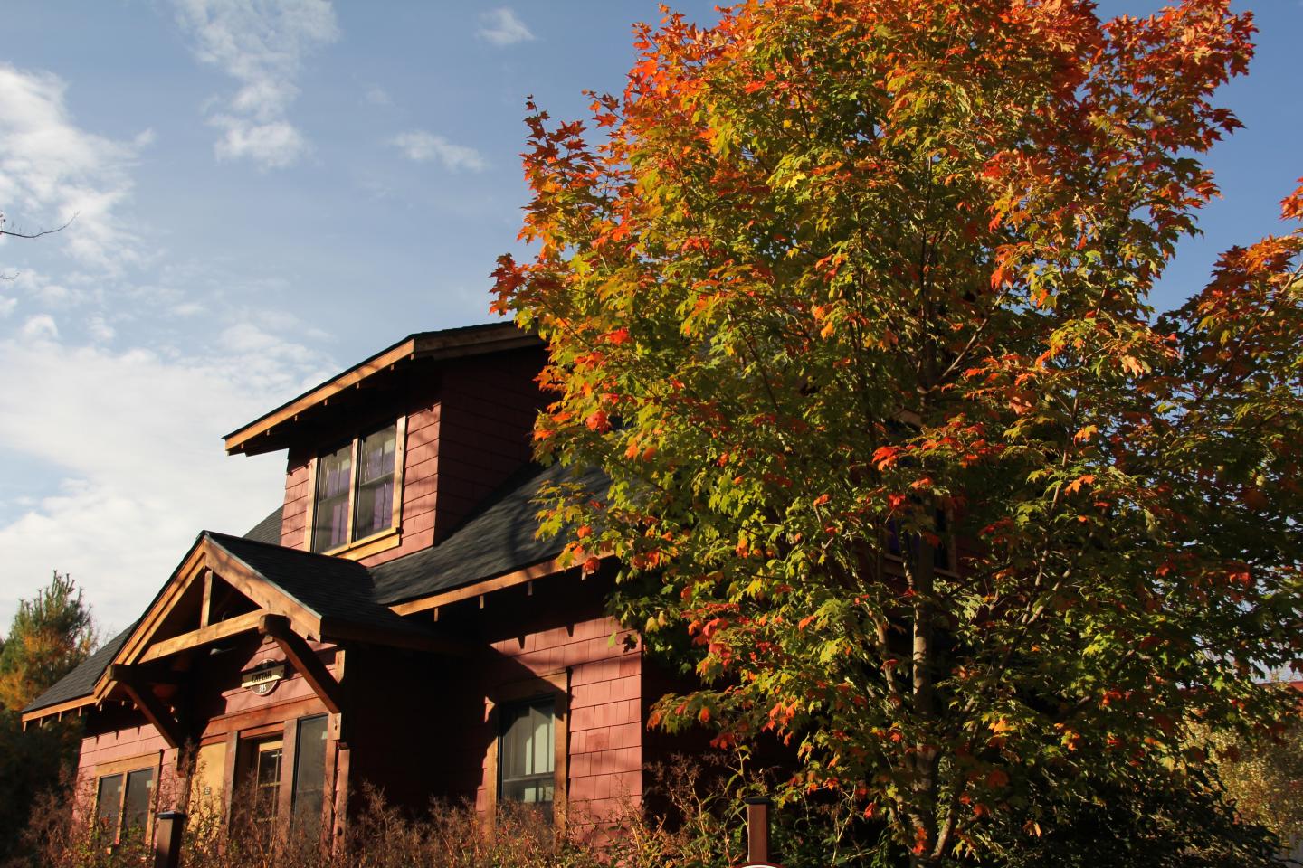 Red cottage with autumn tree under a blue sky.