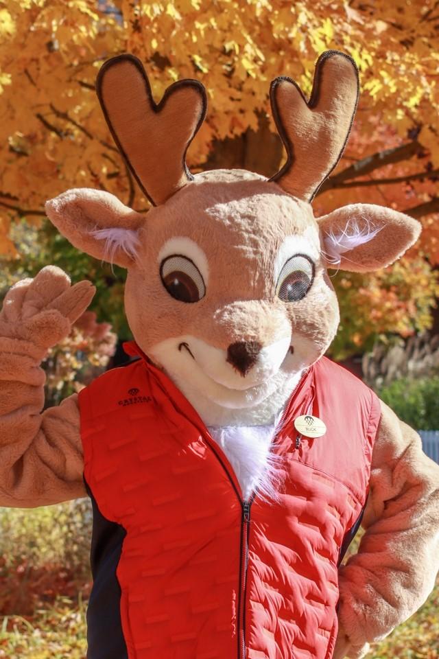Cartoonish white-tailed deer mascot in a red vest waves.