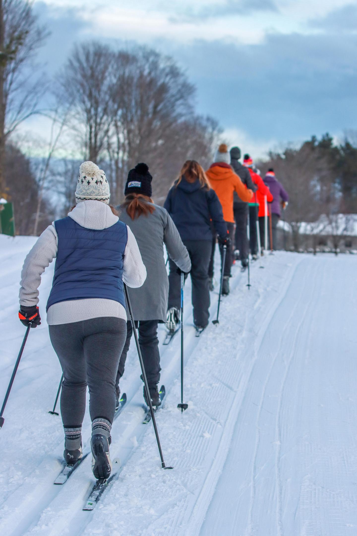 People cross-country skiing in a snowy, tree-lined landscape.
