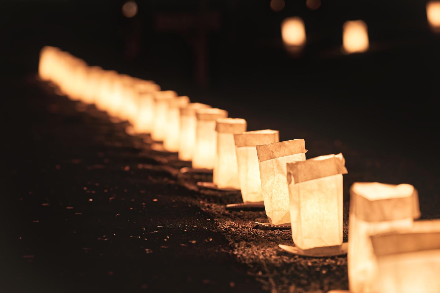 Glowing paper lanterns line a dark pathway at night.