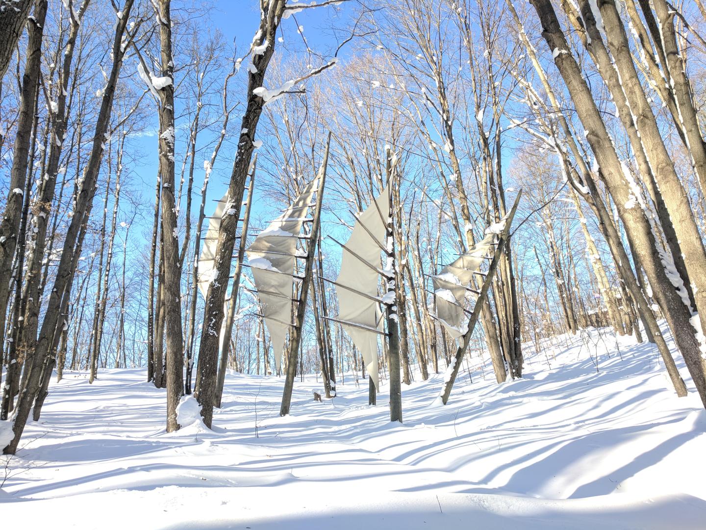 Snowy forest with tall trees and Five Needles sculpture under a clear blue sky.