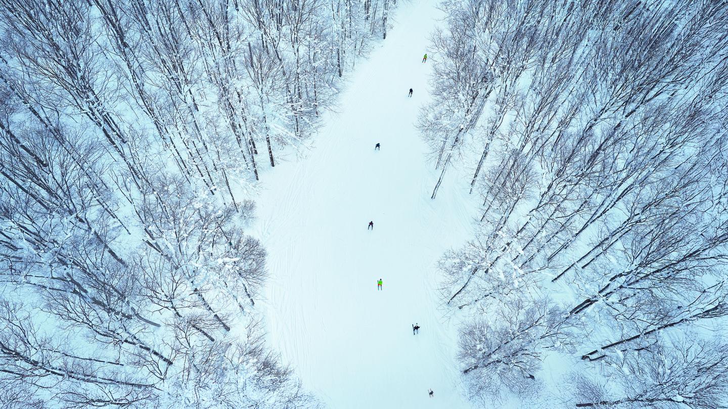 Snowy forest with a path, aerial view, skiers visible on path.