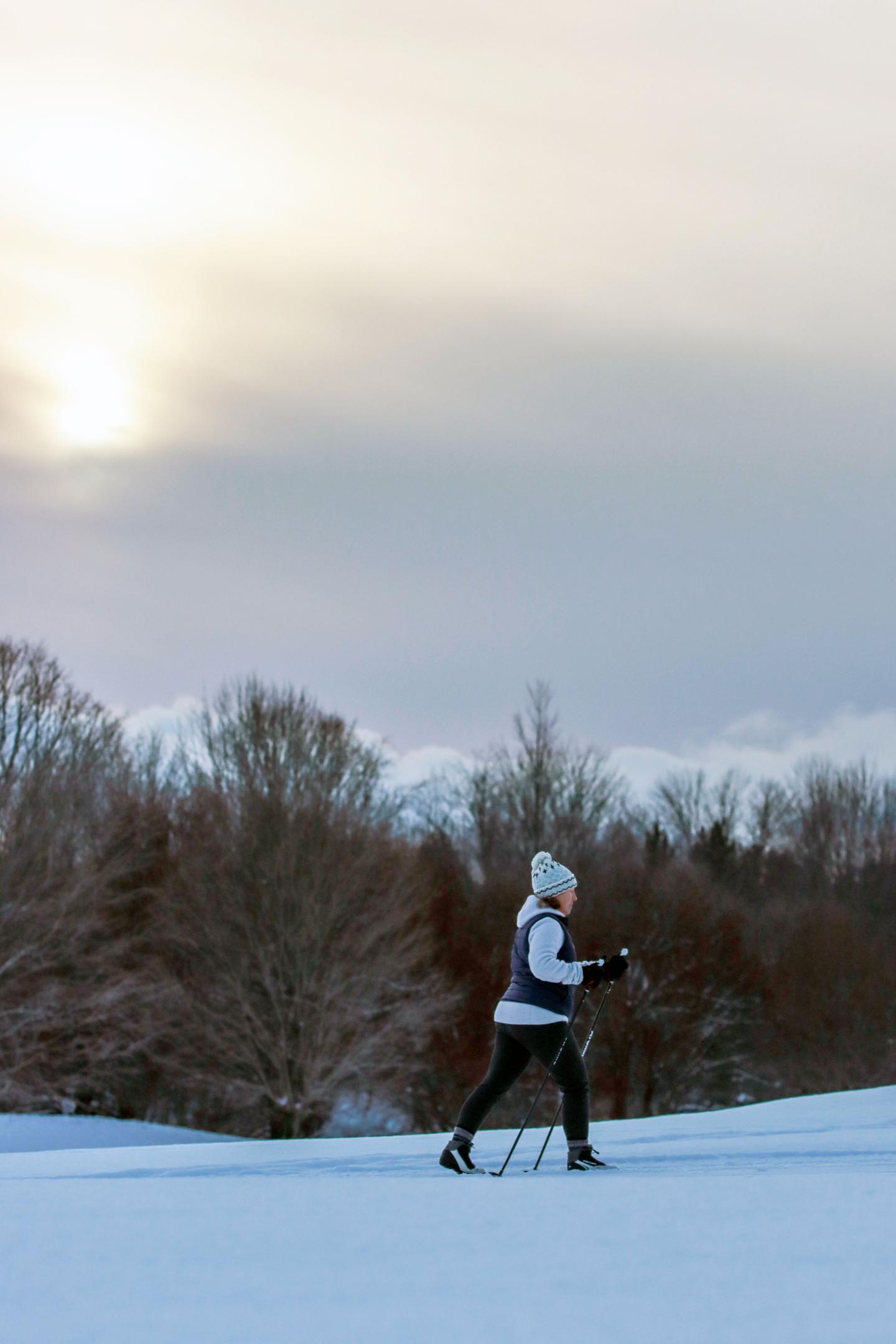 Skiier under cloudy sky with sun, snow-covered field, and bare trees in background.