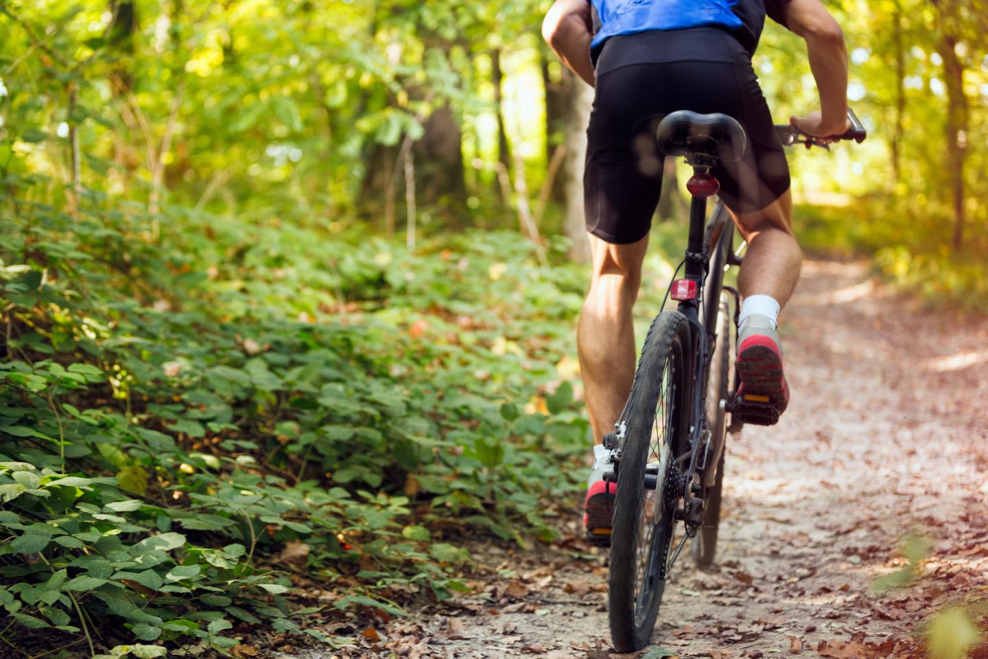 Cyclist riding on a forest trail, surrounded by greenery.