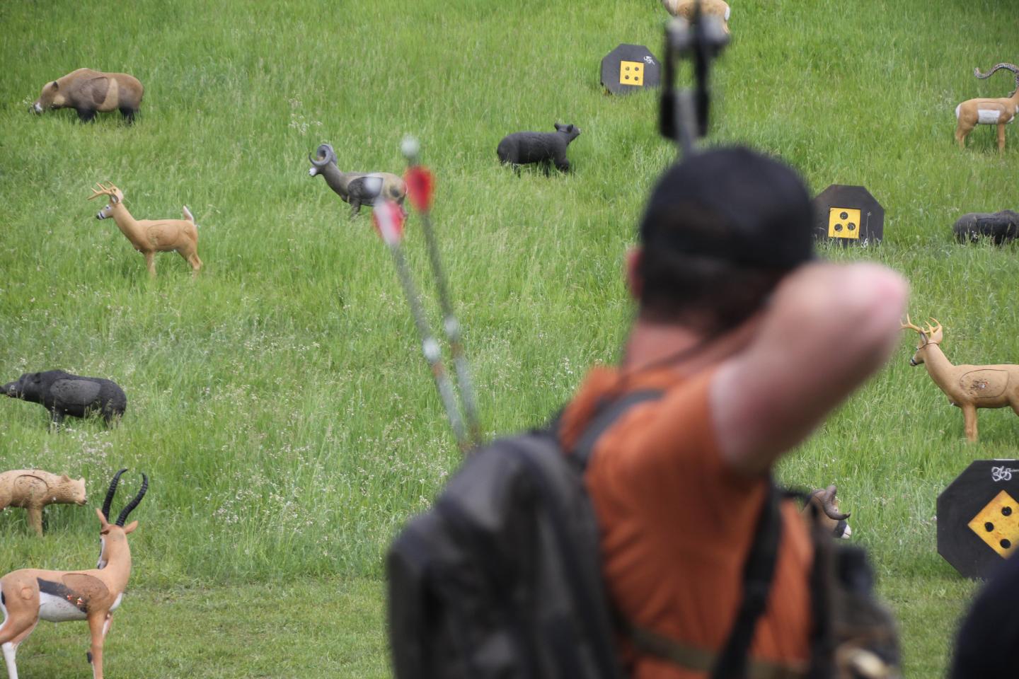Archer aiming at animal targets on a grassy field.