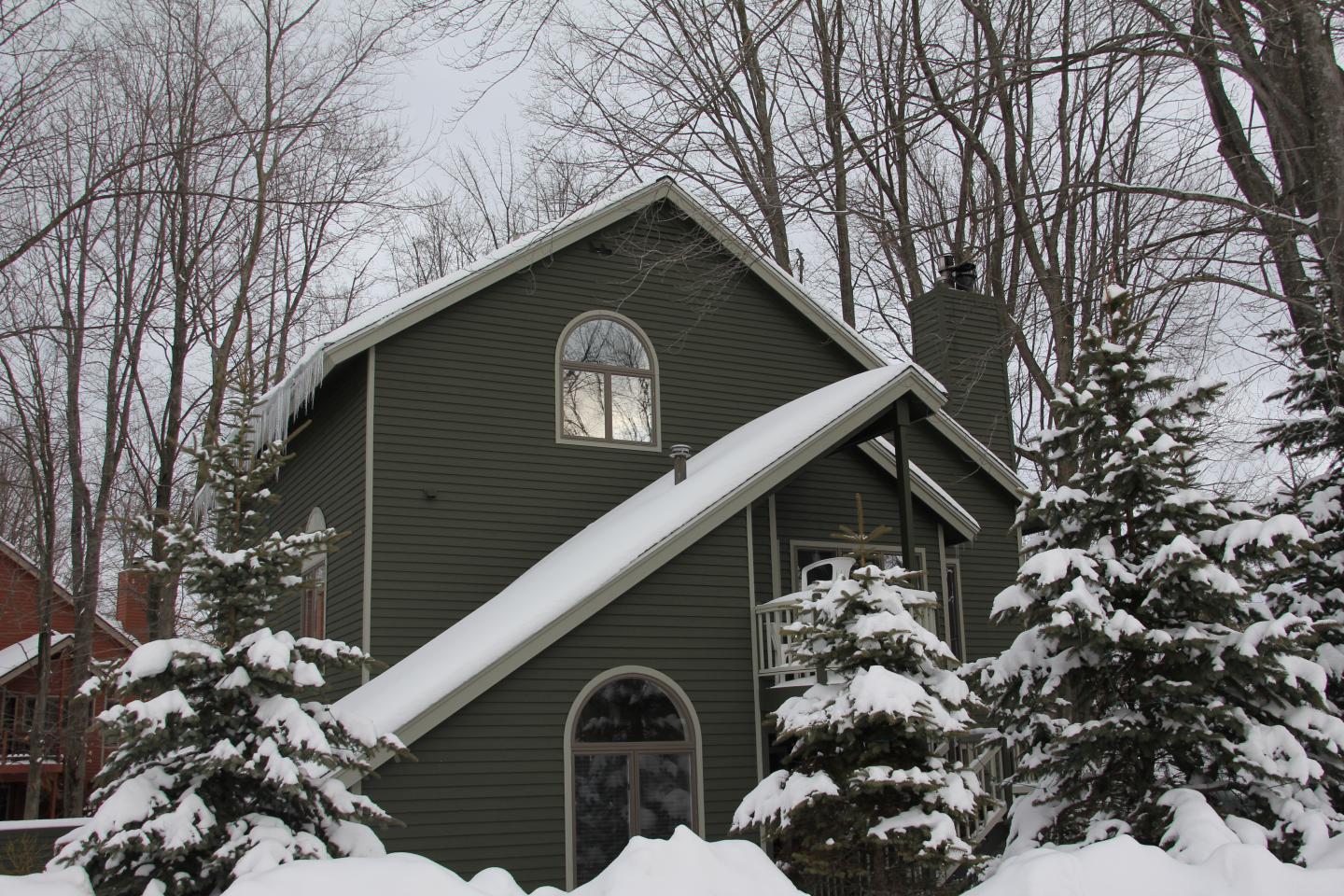 Snow-covered house surrounded by tall trees and pine trees.