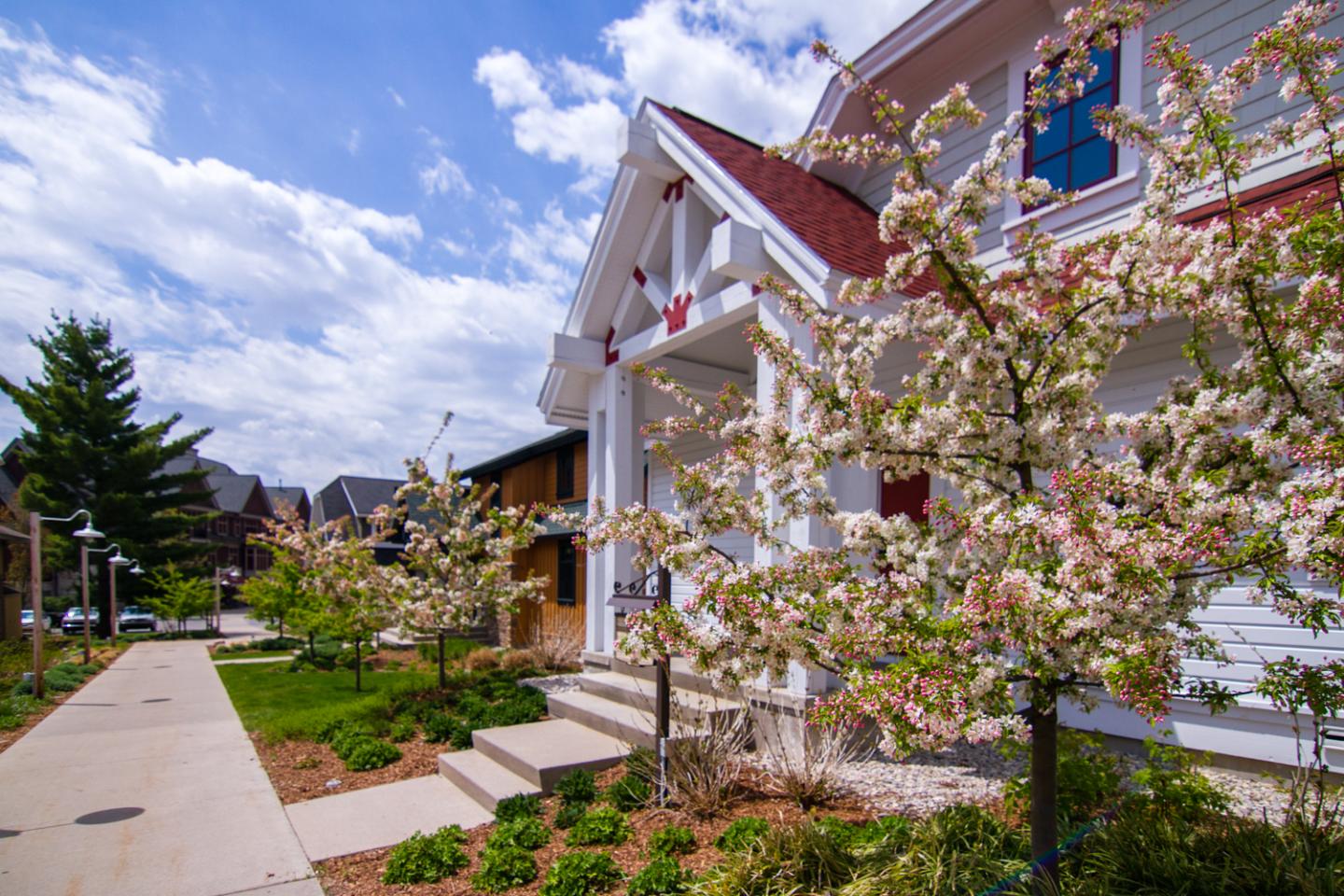 White house with blooming trees under a blue sky.