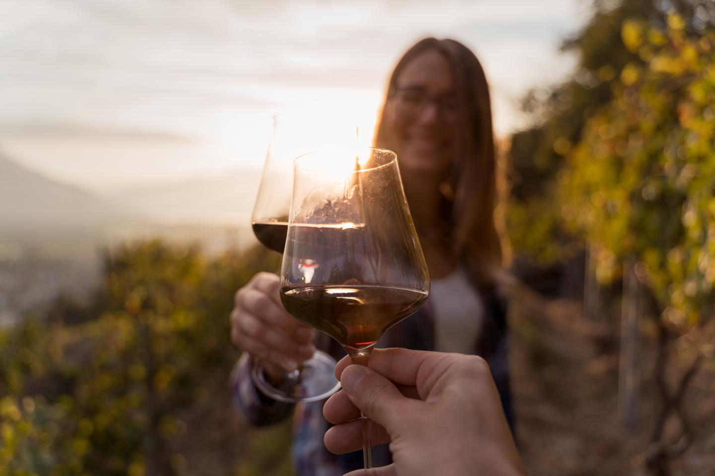 Toasting with wine glasses at sunset.