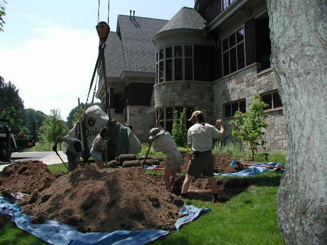 Workers planting a tree outside a stone building on a sunny day.