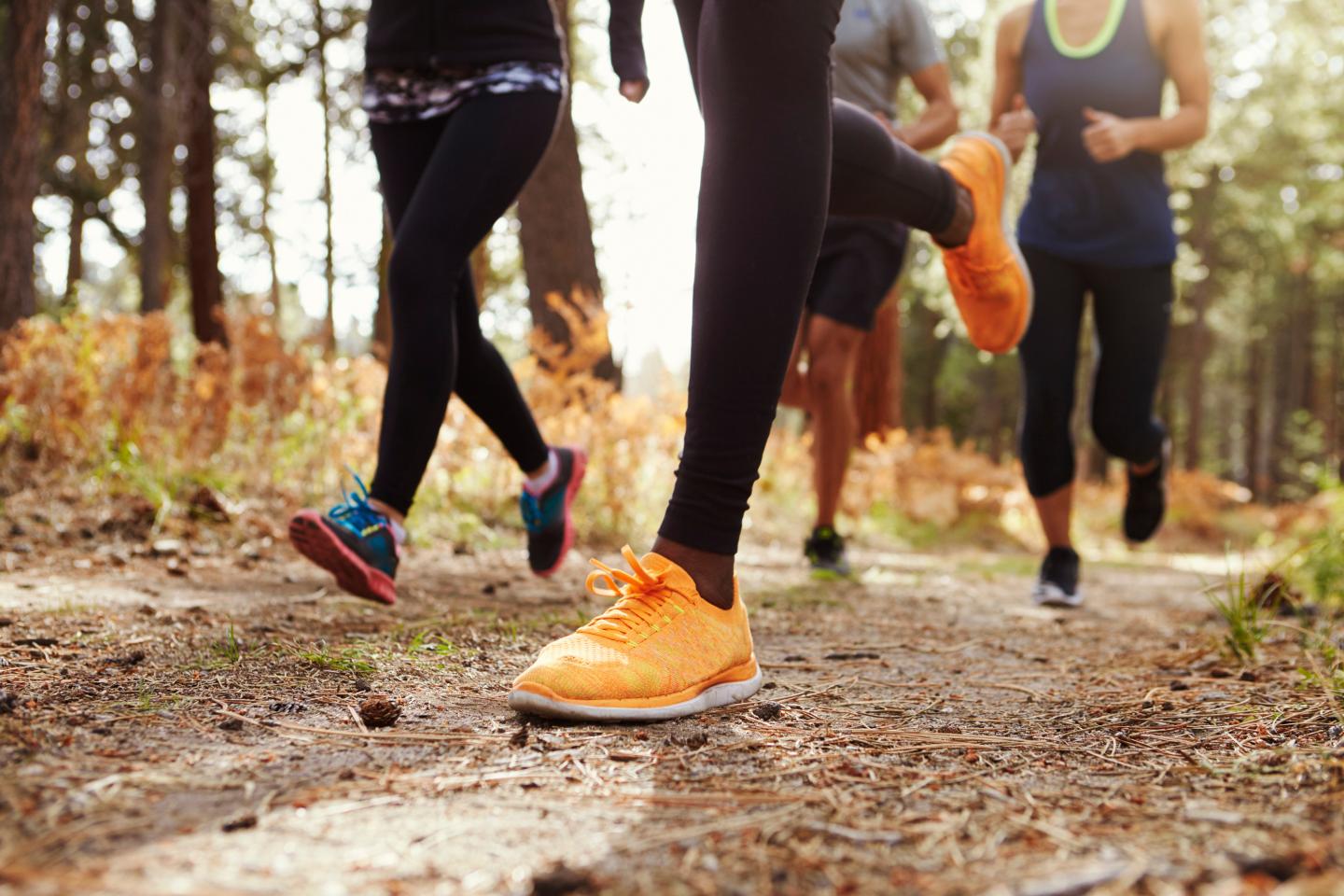 Four people jogging on a forest trail, legs in bright running shoes.