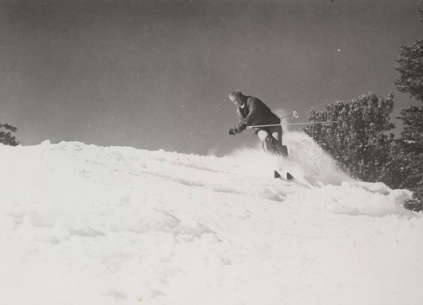 Skier descending a snowy slope, trees in the background.