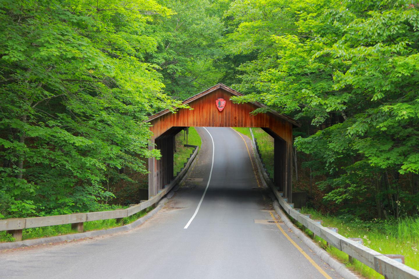 Covered wooden bridge on a tree-lined road.
