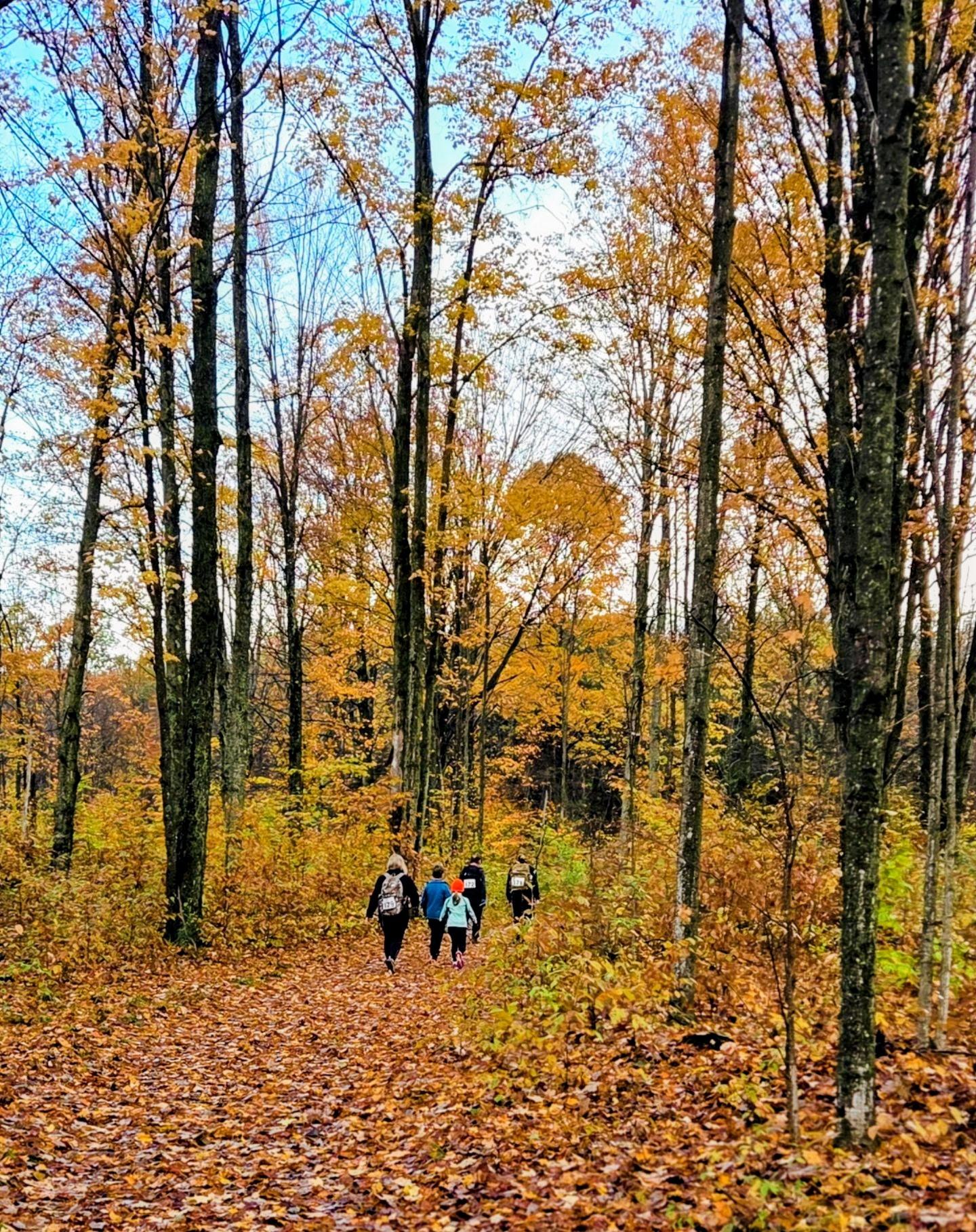 Four people walking on a forest path, surrounded by tall trees with autumn leaves.