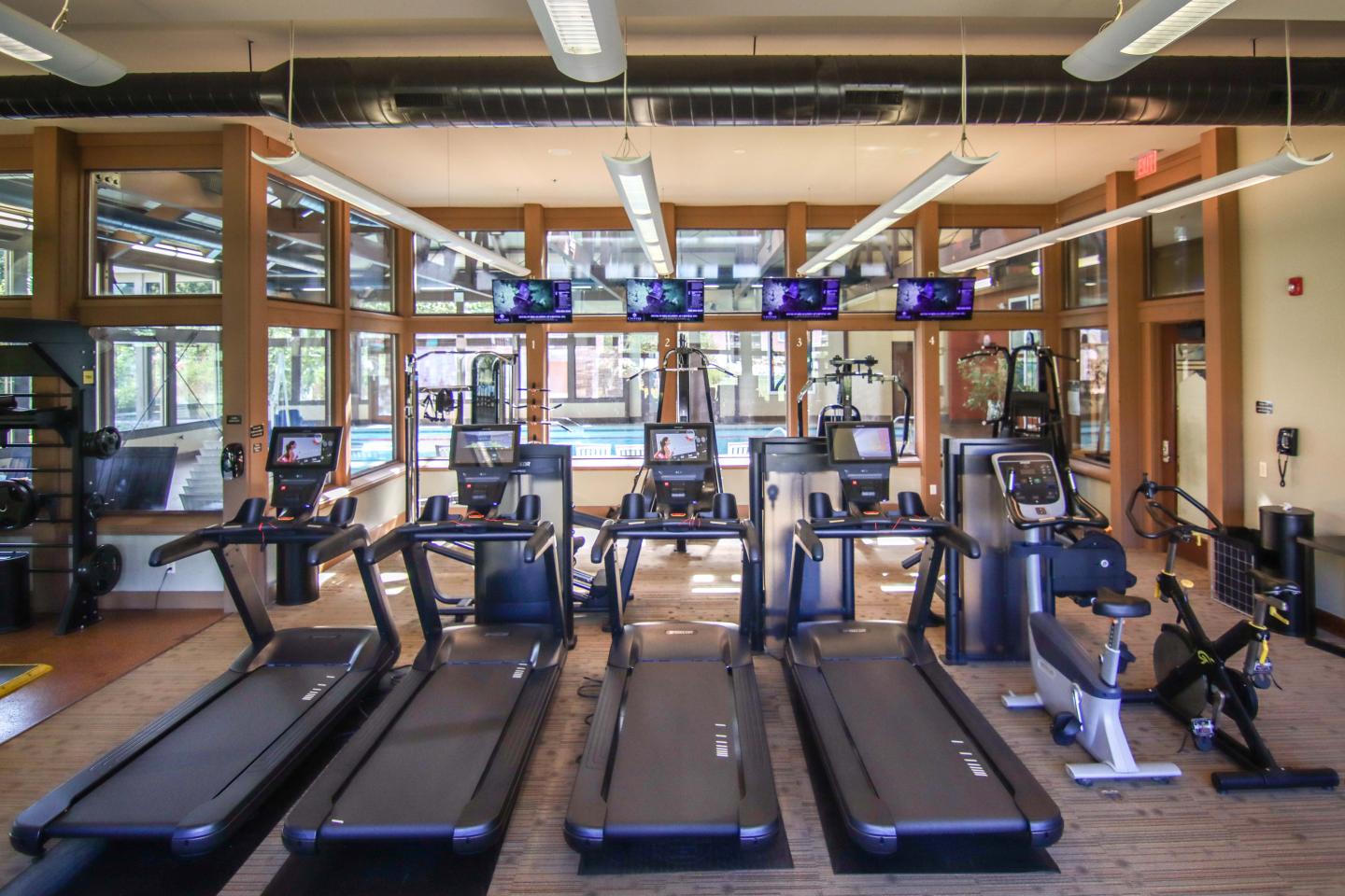 Modern gym with treadmills, rowing machines, and large windows.