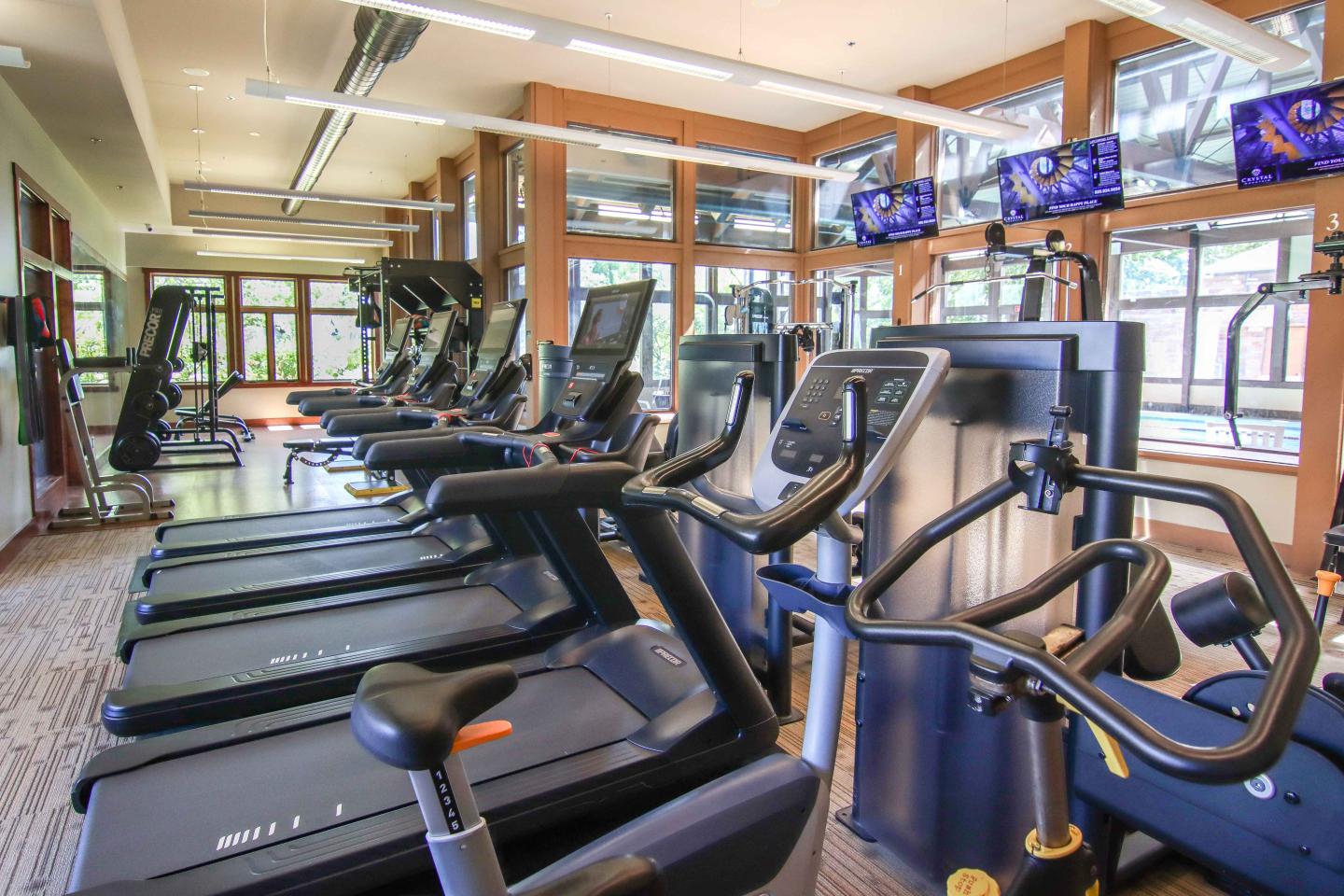 Modern gym with rows of treadmills and elliptical machines.