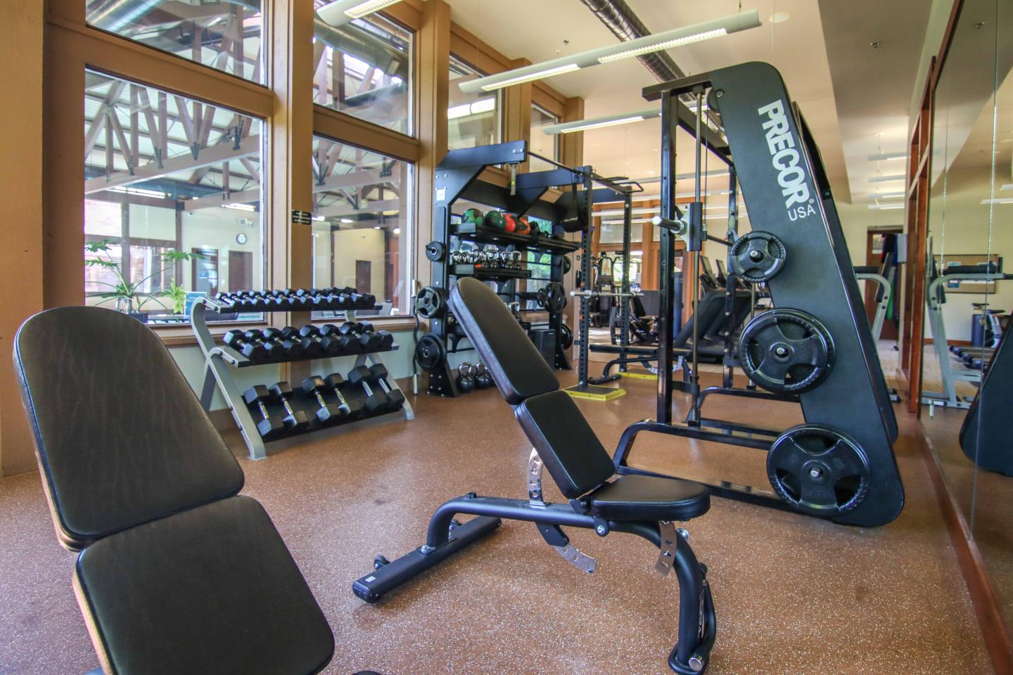 Gym interior with weight bench, dumbbells, and cardio machines.