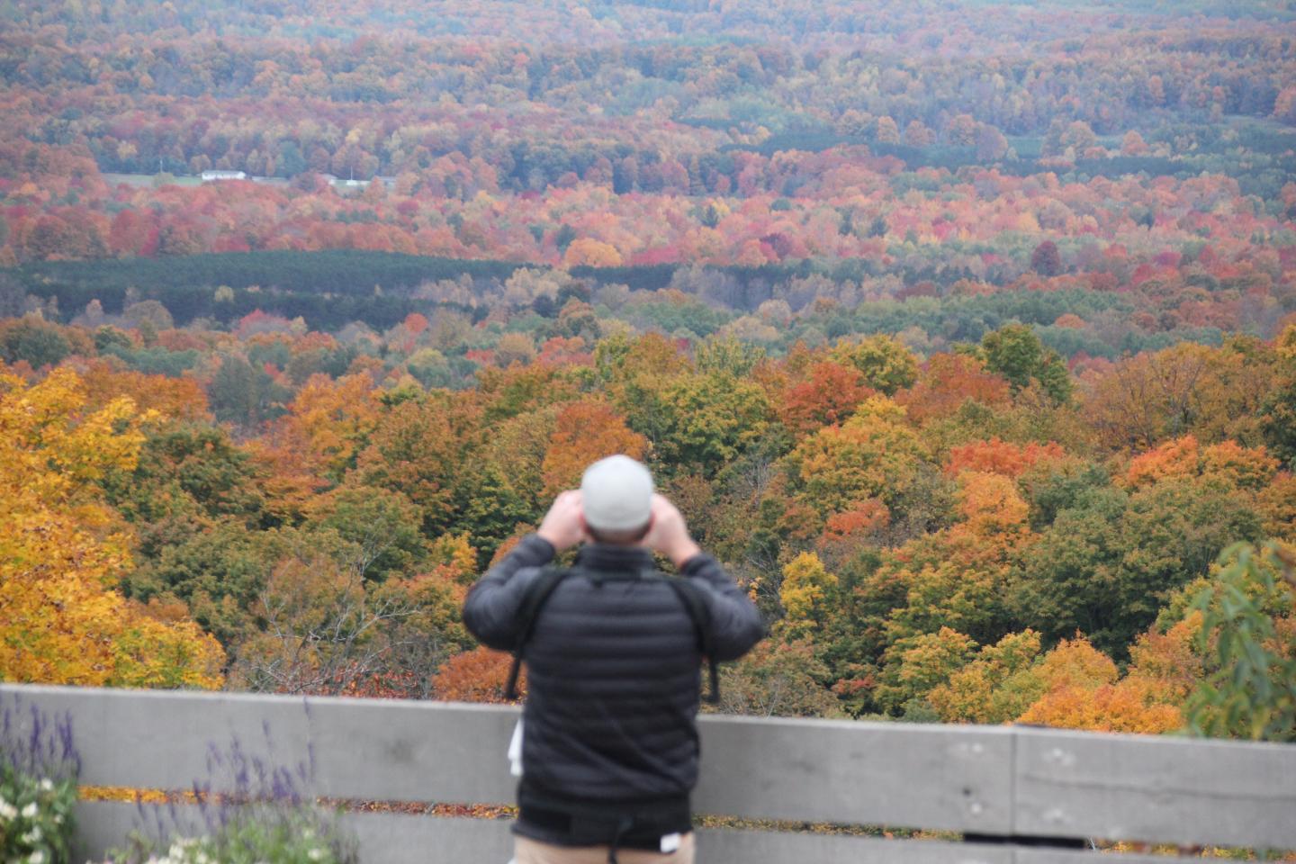 Person in a black jacket overlooking colorful autumn forest from a railing