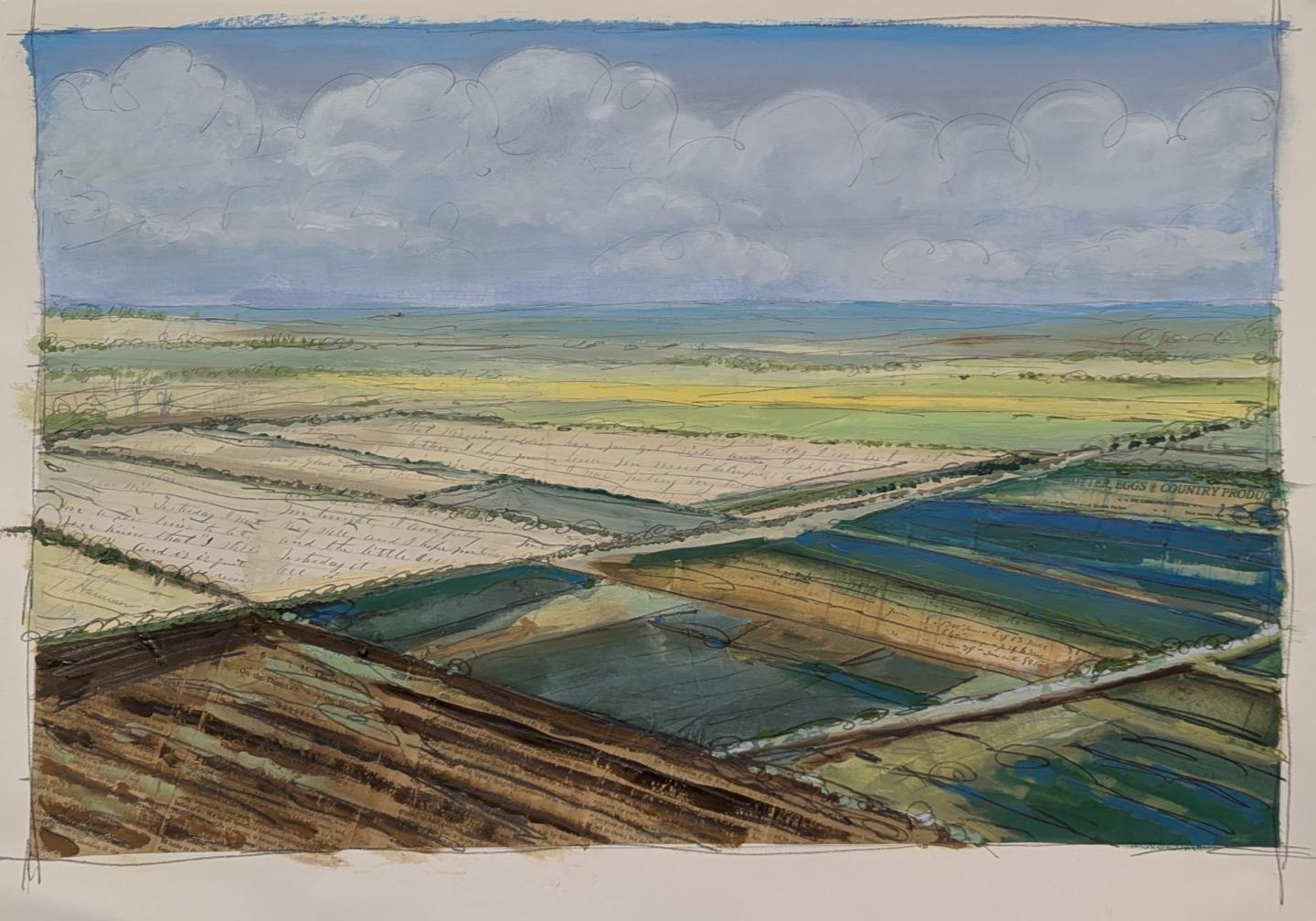 Aerial view of patchwork farmland beneath cloudy skies.